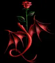 Color Changing Dragon & Rose