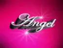 pink angel flip sign