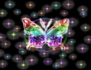 rainbow sparkle butterfly