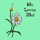 he loves me, he loves me not