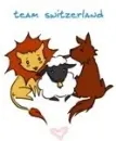 Team Switzerland