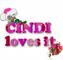 CINDI loves it