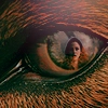 New Moon