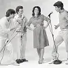 The Jonas Brothers