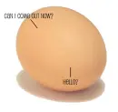 Little Eggy!