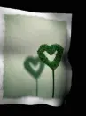 tree heart flag