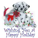 HAPPY HOLIDAYZ