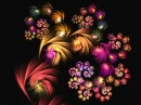 Bright flowers on black