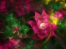Abstract flowers