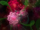 Pink abstract flowers