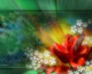 Abstract orange flowers