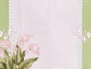 Pink and green
