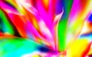 Rainbow flames