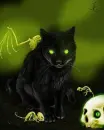 Green Eyed Cat