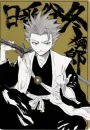 Hitsugaya TÅshirÅ