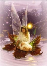 Fairy