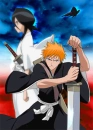 ichigo and rukia