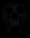 Scarry Skull
