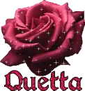 Quetta's Rose