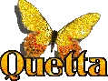 Quette Butterfly