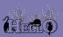 Hello Cats