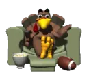 turkey watching football