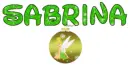 Tink Ornament - Sabrina