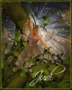 judi brown fairy