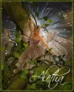aletha brown fairy