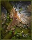 anna brown fairy