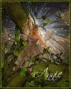 annie brown fairy