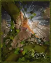 karen brown fairy