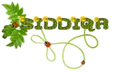 Siddiqa