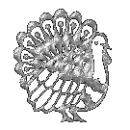 silver turkey avatar