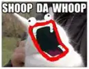 Shoop Da Whoop Bunny
