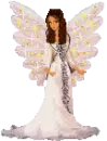 Angel wings