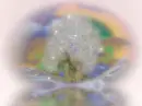 Animated sparkling tree