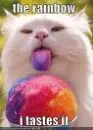 taste the rainbow