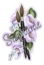 Stephaine