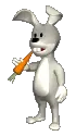 rabbit eating carrot
