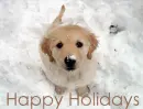 happy holidays