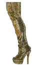 sexy boot