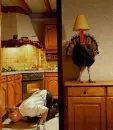 hiding turkey