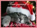 Purr-fect Xmas Cat