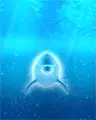 Dolphin swimming
