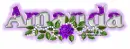 Amanda purple rose