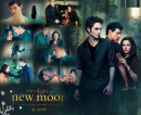 New Moon