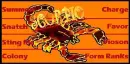 Orange Scorpio ct