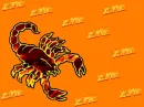 Orange Scorpio