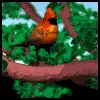 hopping cardinal avatar